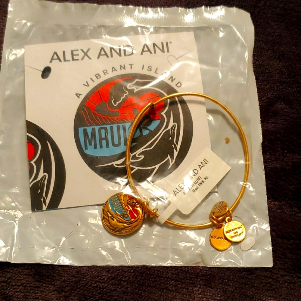 Alex and Ani Maui bangle